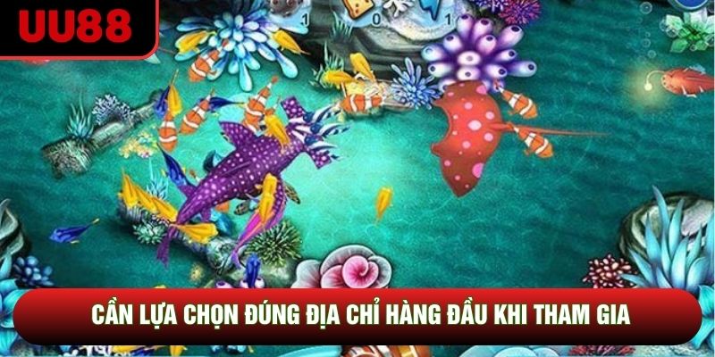 Cần lựa chọn đúng địa chỉ hàng đầu khi tham gia